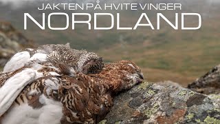 NORDLAND - Jakten på hvite vinger