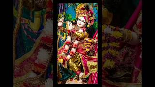 🏵️হে গোবিন্দ হে গোপাল হে দিনো দয়াল 🏵️ রাঁধা মাধব 🙏🪔🙏 He Gobind He Gopal 🙏🌼🙏#krishnabhajan