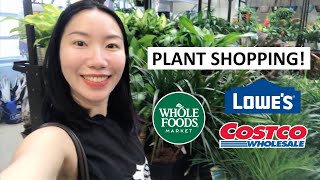 Plant Shopping and Surprise Finds at 3 Big Box Stores: Lowe’s, Costco and Whole Foods