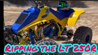 RIPPING THE SUZUKI LT 250R