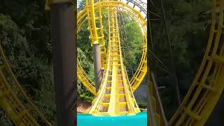 Loch Ness Monster POV #shorts #rollercoaster #thrills #buschgardens