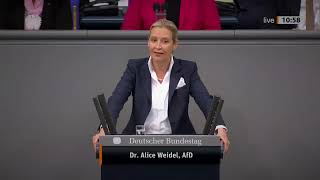 🧧Der Weidel Hammer🧧  Bundestag Tobt