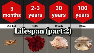 Comparison: Lifespan of different animals(Average)(Part-2).