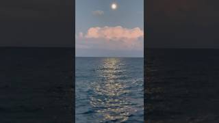 Relaxing sound of sea waves and beautiful moonrise over the sea #seasounds #waves