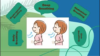 Deep Breathing v/s Shallow Breathing #deepbreathing #yoga #health #life #education #yogicbreathing