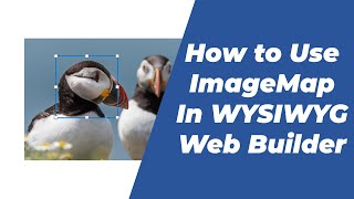 How to use Image Map tool in WYSIWYG Web Builder