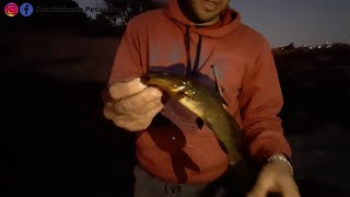 Pesca NOCTURNA con caña MOJARRERA y PESCA de BAGRES