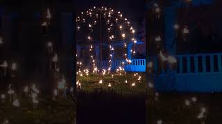 #chicago botanical garden light up scale