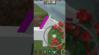 I found Unicorn in minecraft