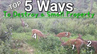 5 Ways to Destroy a Small Hunting Property