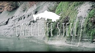 CRO Steelhead - Lake Erie Tributaries - Guide Services