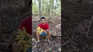 Makan buah pisang #shorts