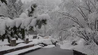 Estes Park Snow - March 13, 2019