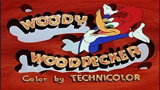 Woody Woodpecker Theme Song (1970-1976)