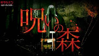 【心霊】一人は狂ってる…それほど危険な場所//怪奇現象勃発…静岡県最恐スポット//小笠山憩いの森