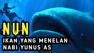 NUN, Ikan Yang Menelan Nabi Yunus AS