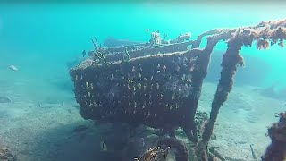 Scuba Diving the Blue Heron Bridge