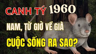 Tử vi trọn đời tuổi Canh Tý, Sinh năm 1960, Nam mạng. Chi tiết và chính xác nhất