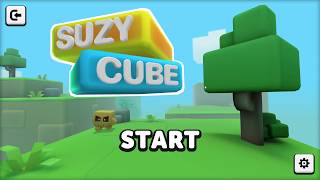 Review Suzy Cube SR