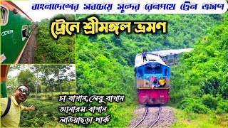 শ্রীমঙ্গল ভ্রমণ সিলেট | Srimangal Tour By Train | lawachara national park | sylhet to srimangal tour