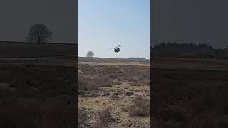 Chinook flying low in Dutch landscape