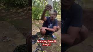 Mancing ikan di sungai #ikan #sungai   #mancing #kawanlaladog #fishing  #alam #sibolang #shortvideo