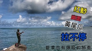 磯釣 夏季 全游動 充滿樂趣的釣法