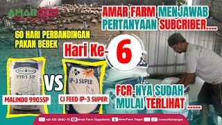 Part #6 | 60 HARI PERBANDINGAN PAKAN BEBEK | Malindo 9905 SP Vs CJ Feed IP-3 Super