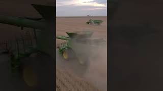 Cutting beans #deere #farming #combining #harvest2023 #tractor #graincart #johndeere #reels #viral