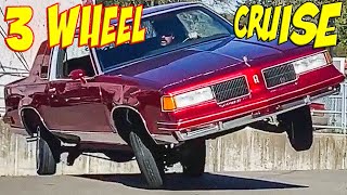 Hitting Back Bumper? Worlds Three Wheels Lowrider Cruisers