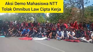 Demo Mahasiswa NTT Tolak UU Omnibus Law Ricuh, Polisi Dilempari Batu