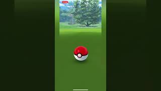 Dewpider Pokedex Entry In PokemonGo #shorts