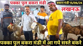 पक्का पुल बकरा मंडी में आज आ गये सस्ते बकरे |15/06/24 |Mandi Rate |Pakka pull bakra mandi