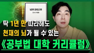 《뇌과학 공부법 대학》 (24학년도) ┃ 전체 커리큘럼 공개