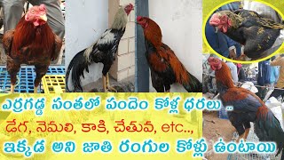 erragadda kolla market | ఎర్రగడ్డ సంతలో పందెం కోళ్ల ధరలు ..