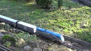 LGB Amtrak P42 Nr 174 mit Zug Unterwegs