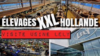 ÉLEVAGES XXL HOLLANDE !! ET VISITE USINE LELY 😲