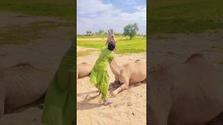 Crazy camel #movement #animals #jungle #nature #wildlife #angry #entertainment #shorts