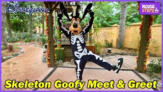 Skeleton Goofy Meet & Greet at Disneyland Paris - Halloween Festival 2024