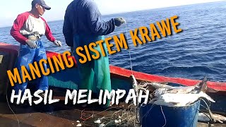 umpan mahal buat mancing ikan besar...MANTAAPP hasilnya memuaskan