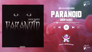 Snow Banks - Paranoid