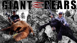 BACKCOUNTRY BEAR HUNT | BEAR DOUBLE 2024