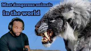 Most dangerous animals in the world Reaction