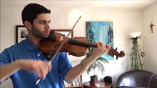 J.S. Bach Partita for Solo Violin No. 1 in B Minor BWV 1002 - 2. Allemande Double