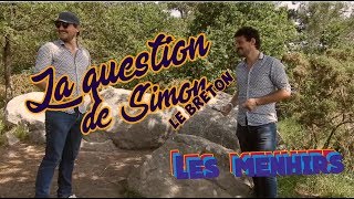 La question de Simon : en combien de temps ça pousse le menhirs?