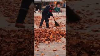 Bölgemizi etkisi altına alan firtına sonrası dökülen yapraklar Alapli'ya ayrı bir güzellik kattı.