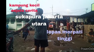 lepas merpati tinggi selepas libur mancing.. sisi lain @angler amatiran30