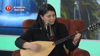 Aysel Yılmaz - Neyine Güvenem Yalan Dünyanın