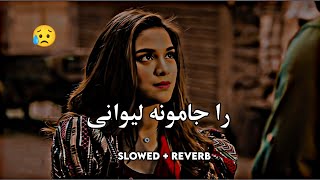 Ra Jamona Lewani (Slowed+Reverb) Pashto Song | Sad Song | Lofi Song | New Song 2023