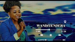 Wanditendera  -(Official Audio)  Vimby Vee White